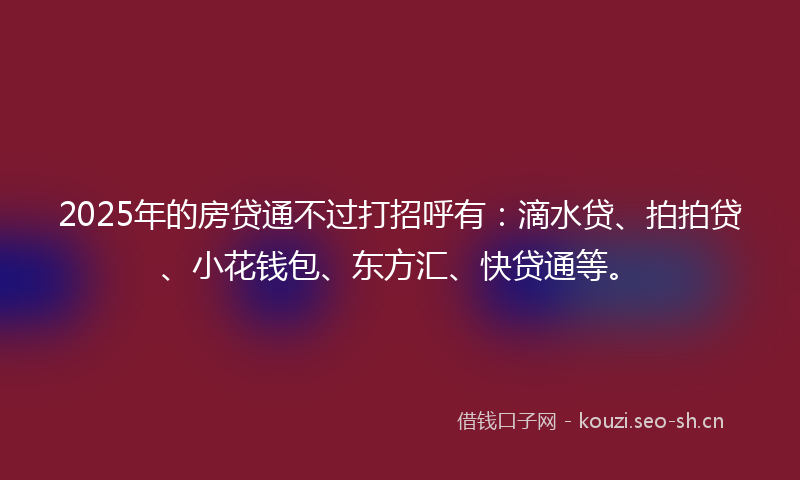 2025年的房贷通不过打招呼有：滴水贷、拍拍贷、小花钱包、东方汇、快贷通等。