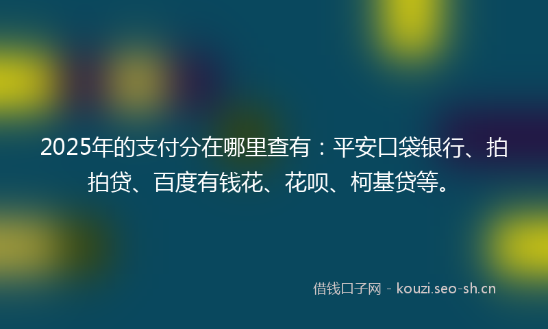 2025年的支付分在哪里查有：平安口袋银行、拍拍贷、百度有钱花、花呗、柯基贷等。