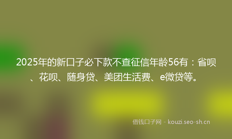 2025年的新口子必下款不查征信年龄56有：省呗、花呗、随身贷、美团生活费、e微贷等。