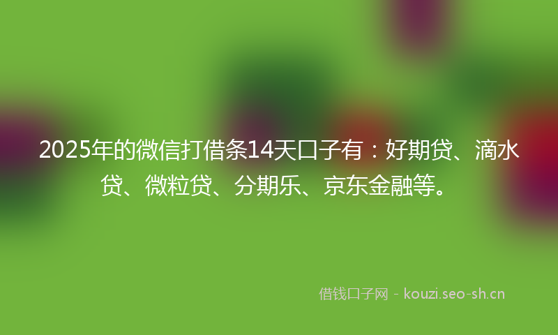 2025年的微信打借条14天口子有：好期贷、滴水贷、微粒贷、分期乐、京东金融等。