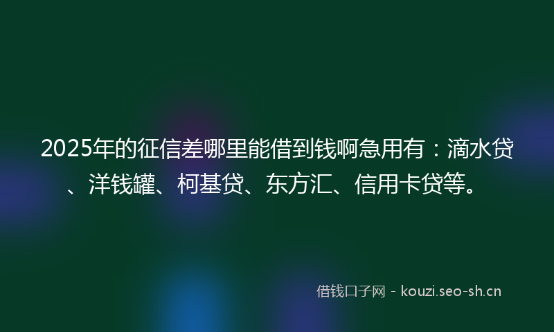 2025年的征信差哪里能借到钱啊急用有:滴水贷、洋钱罐、柯基贷、东方汇、信用卡贷等。