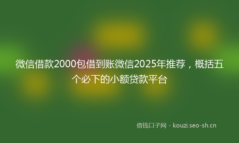 微信借款2000包借到账微信2025年推荐,概括五个必下的小额贷款平台