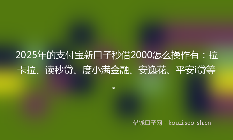 2025年的支付宝新口子秒借2000怎么操作有：拉卡拉、读秒贷、度小满金融、安逸花、平安i贷等。