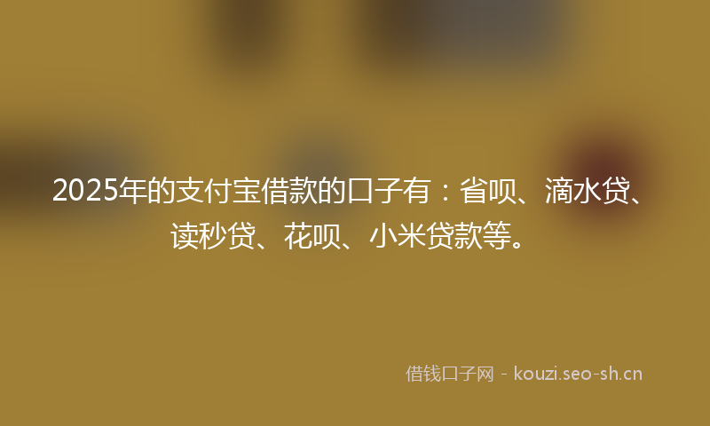 2025年的支付宝借款的口子有：省呗、滴水贷、读秒贷、花呗、小米贷款等。