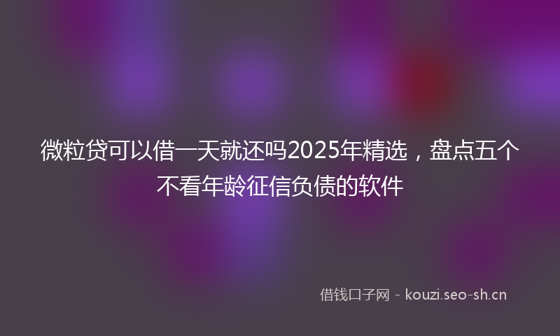 微粒贷可以借一天就还吗2025年精选，盘点五个不看年龄征信负债的软件