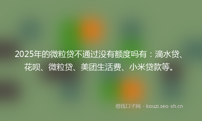 2025年的微粒贷不通过没有额度吗有：滴水贷、花呗、微粒贷、美团生活费、小米贷款等。