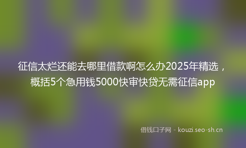 征信太烂还能去哪里借款啊怎么办2025年精选，概括5个急用钱5000快审快贷无需征信app