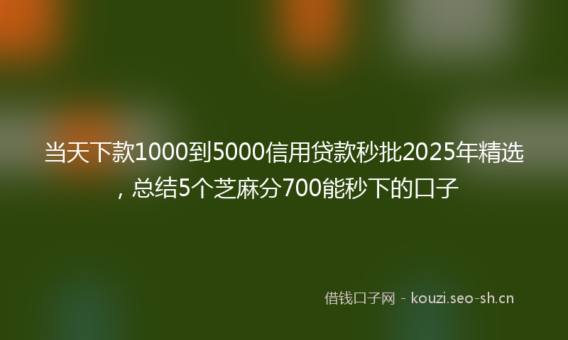 当天下款1000到5000信用贷款秒批2025年精选，总结5个芝麻分700能秒下的口子