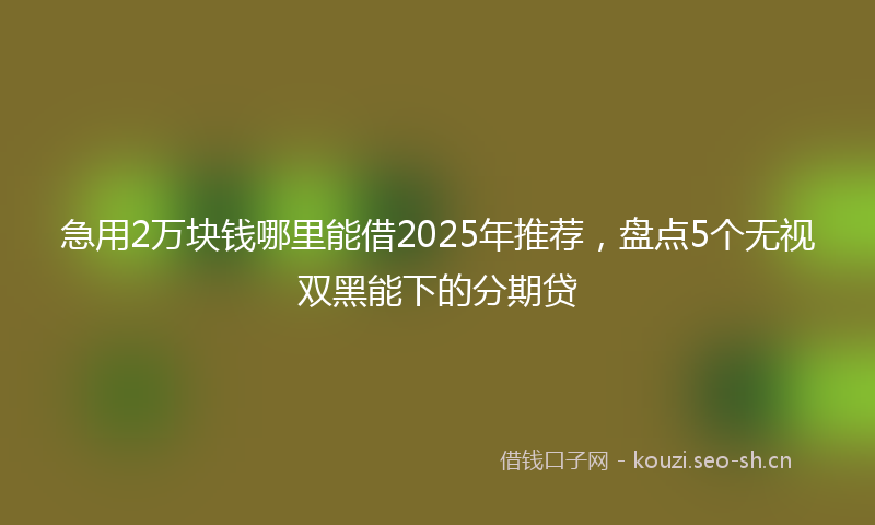 急用2万块钱哪里能借2025年推荐，盘点5个无视双黑能下的分期贷