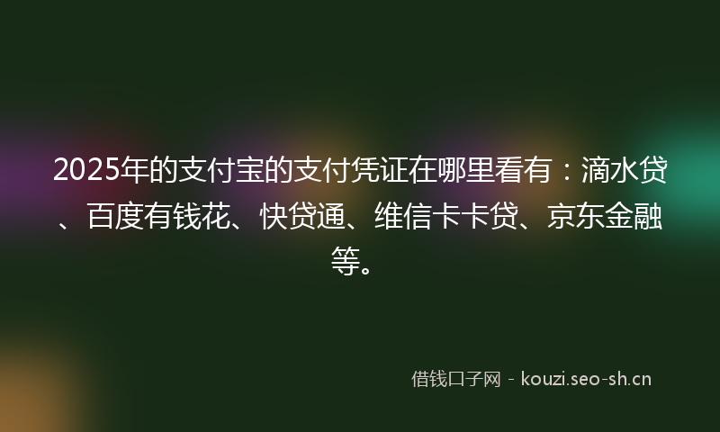 2025年的支付宝的支付凭证在哪里看有：滴水贷、百度有钱花、快贷通、维信卡卡贷、京东金融等。