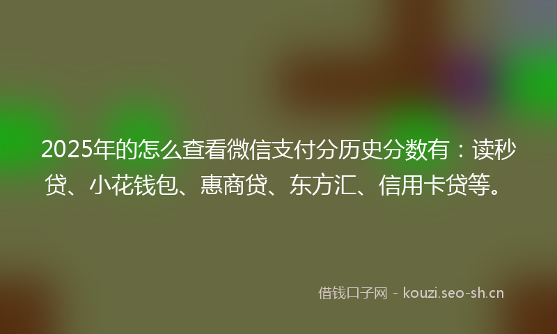 2025年的怎么查看微信支付分历史分数有：读秒贷、小花钱包、惠商贷、东方汇、信用卡贷等。