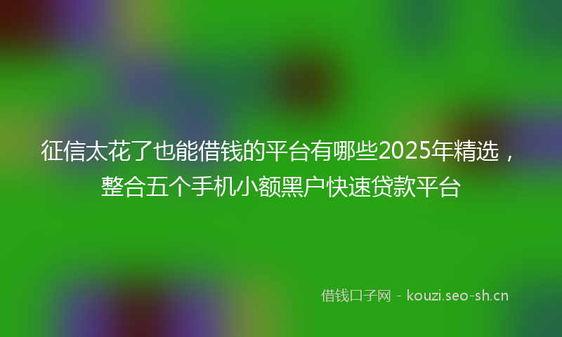征信太花了也能借钱的平台有哪些2025年精选，整合五个手机小额黑户快速贷款平台
