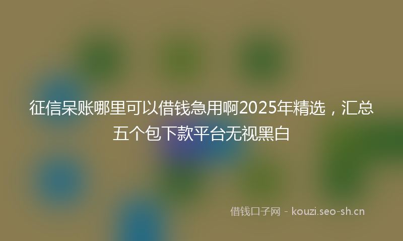 征信呆账哪里可以借钱急用啊2025年精选，汇总五个包下款平台无视黑白