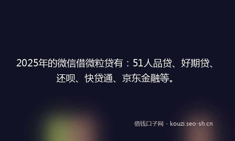 2025年的微信借微粒贷有：51人品贷、好期贷、还呗、快贷通、京东金融等。