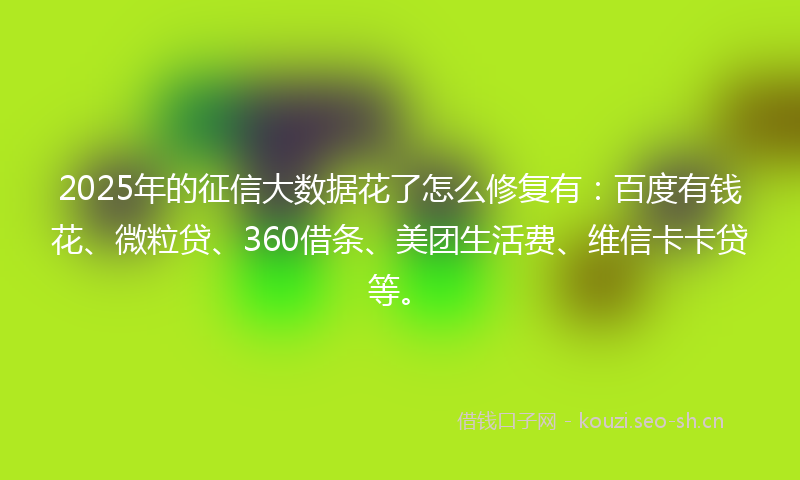 2025年的征信大数据花了怎么修复有：百度有钱花、微粒贷、360借条、美团生活费、维信卡卡贷等。