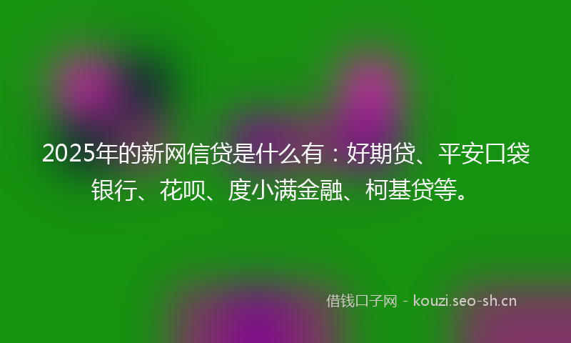 2025年的新网信贷是什么有：好期贷、平安口袋银行、花呗、度小满金融、柯基贷等。