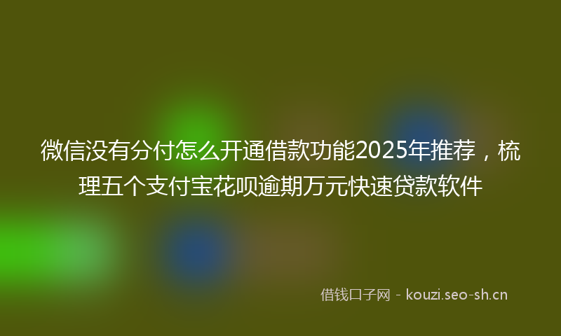 微信没有分付怎么开通借款功能2025年推荐，梳理五个支付宝花呗逾期万元快速贷款软件