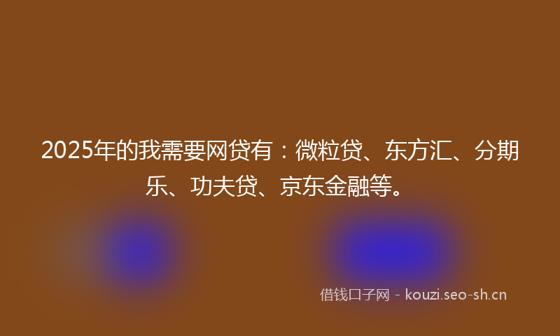2025年的我需要网贷有：微粒贷、东方汇、分期乐、功夫贷、京东金融等。