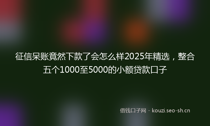 征信呆账竟然下款了会怎么样2025年精选，整合五个1000至5000的小额贷款口子
