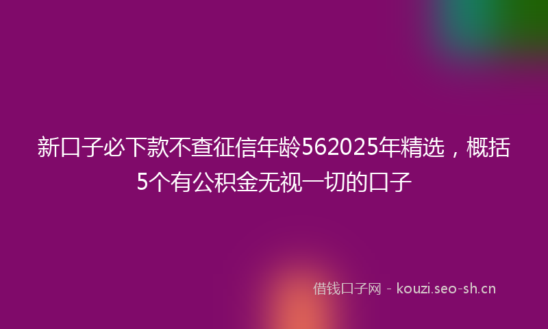 新口子必下款不查征信年龄562025年精选,概括5个有公积金无视一切的口子