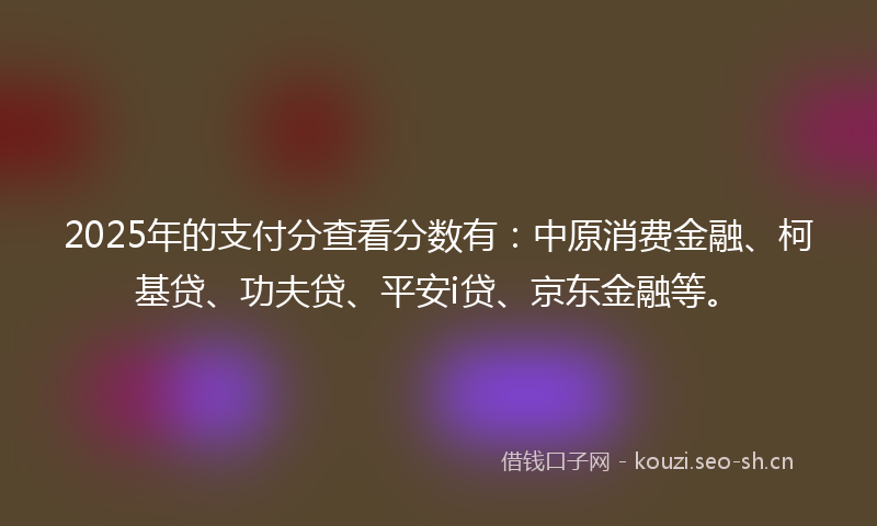 2025年的支付分查看分数有：中原消费金融、柯基贷、功夫贷、平安i贷、京东金融等。