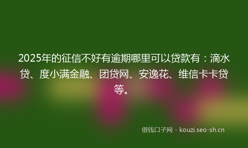 2025年的征信不好有逾期哪里可以贷款有：滴水贷、度小满金融、团贷网、安逸花、维信卡卡贷等。