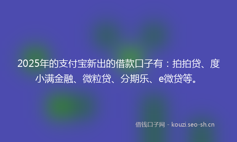 2025年的支付宝新出的借款口子有：拍拍贷、度小满金融、微粒贷、分期乐、e微贷等。