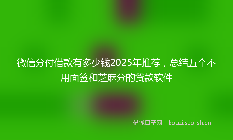 微信分付借款有多少钱2025年推荐，总结五个不用面签和芝麻分的贷款软件