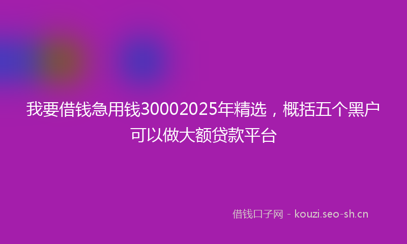 我要借钱急用钱30002025年精选，概括五个黑户可以做大额贷款平台