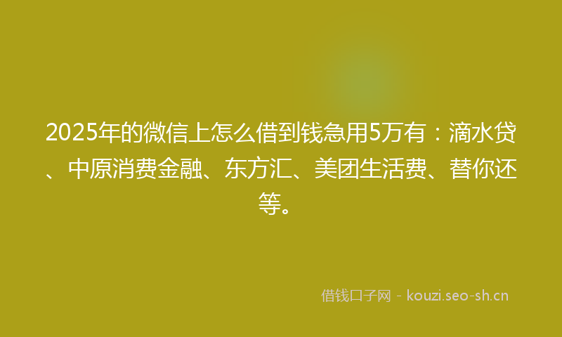 2025年的微信上怎么借到钱急用5万有：滴水贷、中原消费金融、东方汇、美团生活费、替你还等。
