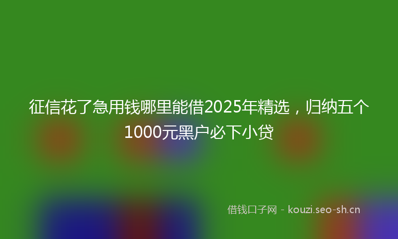 征信花了急用钱哪里能借2025年精选，归纳五个1000元黑户必下小贷