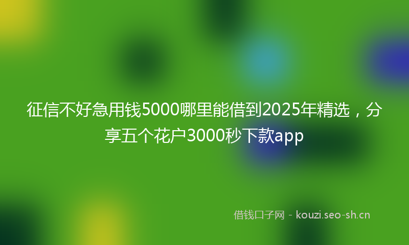 征信不好急用钱5000哪里能借到2025年精选，分享五个花户3000秒下款app