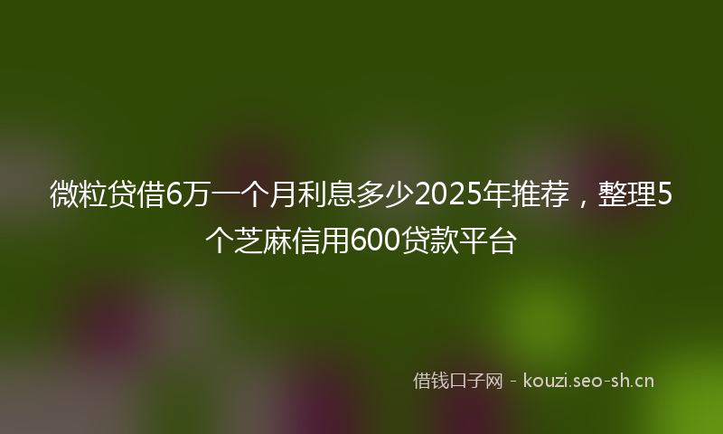 微粒贷借6万一个月利息多少2025年推荐，整理5个芝麻信用600贷款平台