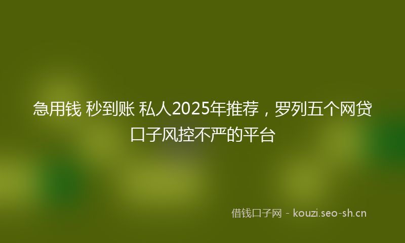 急用钱 秒到账 私人2025年推荐，罗列五个网贷口子风控不严的平台