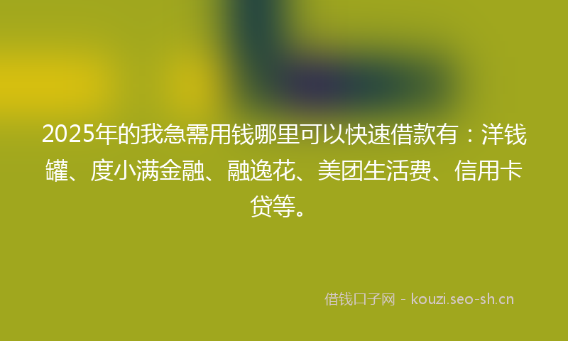 2025年的我急需用钱哪里可以快速借款有：洋钱罐、度小满金融、融逸花、美团生活费、信用卡贷等。