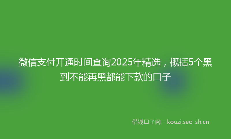 微信支付开通时间查询2025年精选,概括5个黑到不能再黑都能下款的口子