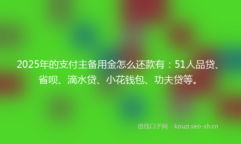2025年的支付主备用金怎么还款有：51人品贷、省呗、滴水贷、小花钱包、功夫贷等。
