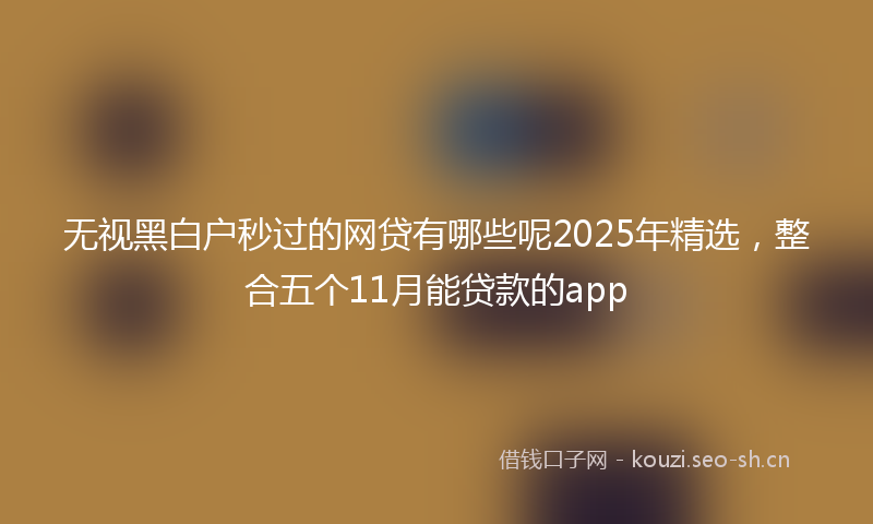 无视黑白户秒过的网贷有哪些呢2025年精选，整合五个11月能贷款的app