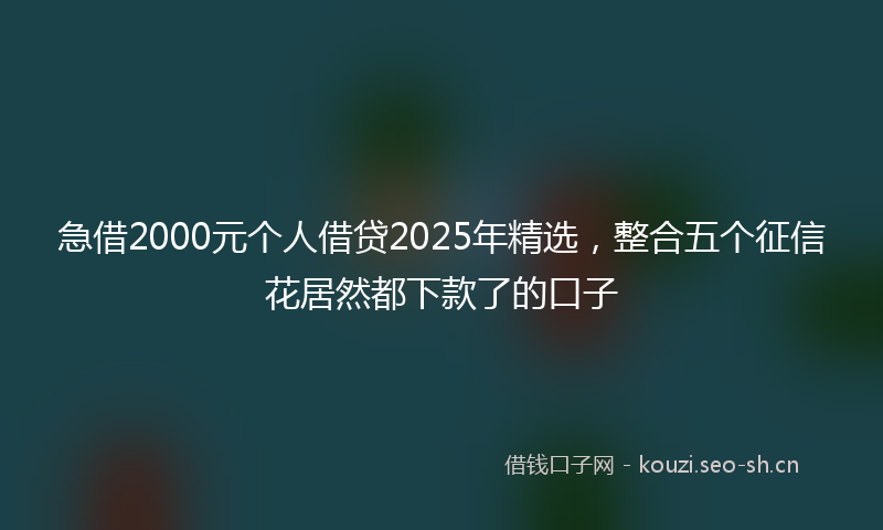 急借2000元个人借贷2025年精选，整合五个征信花居然都下款了的口子