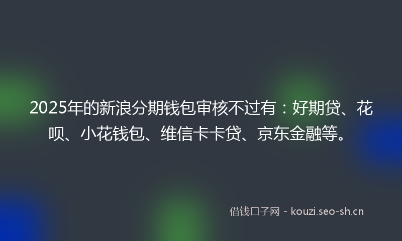 2025年的新浪分期钱包审核不过有：好期贷、花呗、小花钱包、维信卡卡贷、京东金融等。