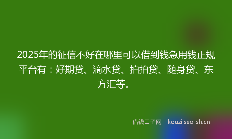 2025年的征信不好在哪里可以借到钱急用钱正规平台有：好期贷、滴水贷、拍拍贷、随身贷、东方汇等。