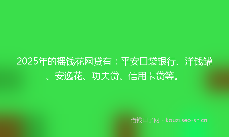 2025年的摇钱花网贷有：平安口袋银行、洋钱罐、安逸花、功夫贷、信用卡贷等。