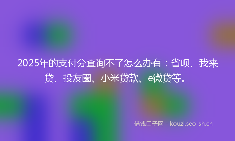 2025年的支付分查询不了怎么办有：省呗、我来贷、投友圈、小米贷款、e微贷等。