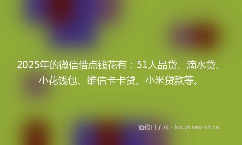 2025年的微信借点钱花有：51人品贷、滴水贷、小花钱包、维信卡卡贷、小米贷款等。