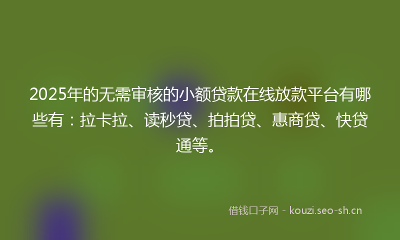 2025年的无需审核的小额贷款在线放款平台有哪些有：拉卡拉、读秒贷、拍拍贷、惠商贷、快贷通等。