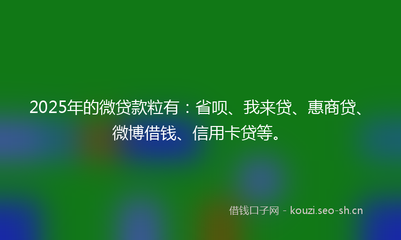 2025年的微贷款粒有：省呗、我来贷、惠商贷、微博借钱、信用卡贷等。