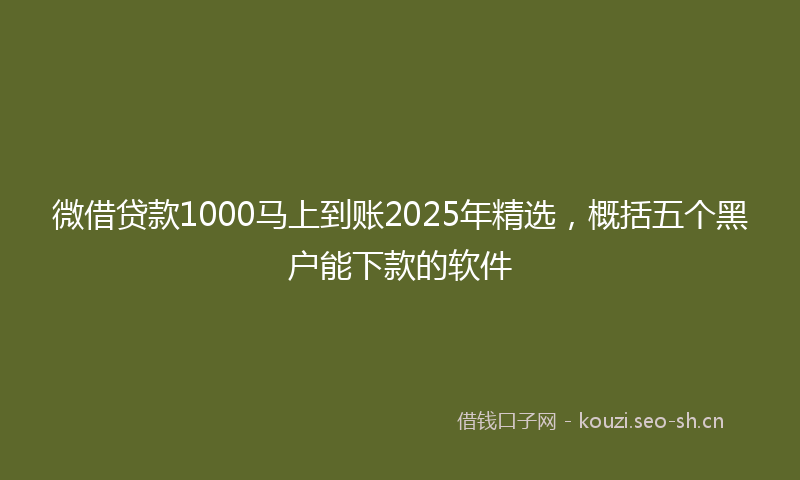 微借贷款1000马上到账2025年精选，概括五个黑户能下款的软件