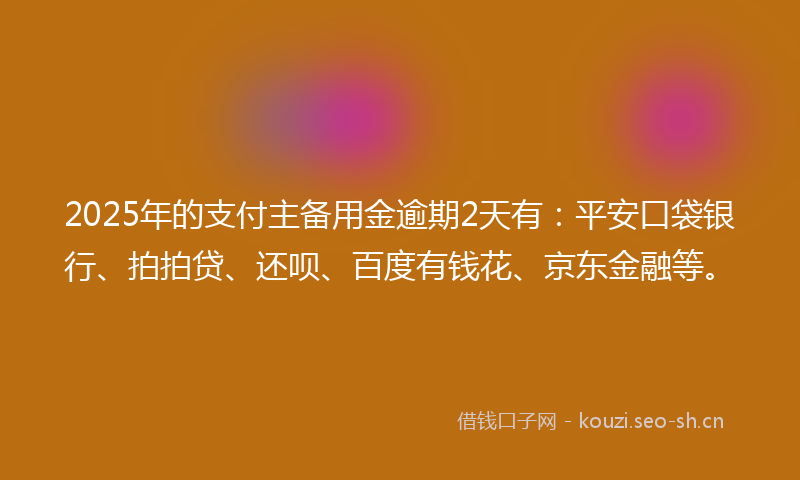 2025年的支付主备用金逾期2天有：平安口袋银行、拍拍贷、还呗、百度有钱花、京东金融等。