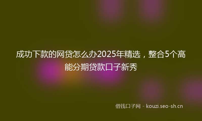 成功下款的网贷怎么办2025年精选，整合5个高能分期贷款口子新秀