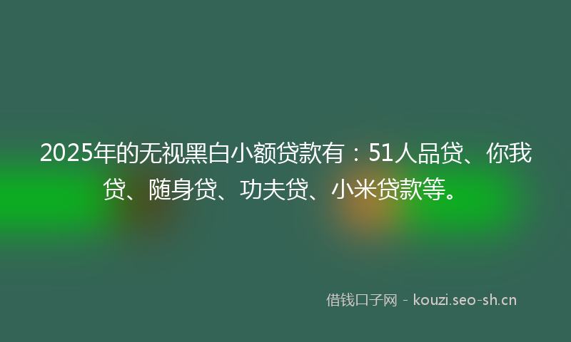2025年的无视黑白小额贷款有：51人品贷、你我贷、随身贷、功夫贷、小米贷款等。
